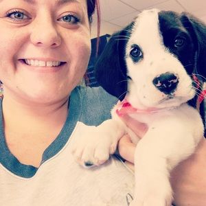 Meet your Posher, Tayler